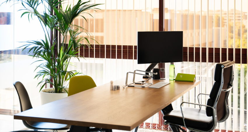 feng shui empresarial